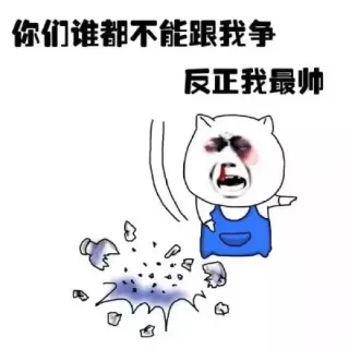 你们谁都不能跟我争 反正我最帅