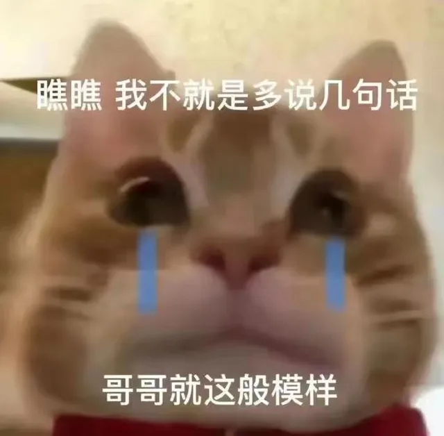 瞧瞧我不就是多说几句话哥哥就这般模样（瞧瞧我不就是多说几句话哥哥就这般模样）