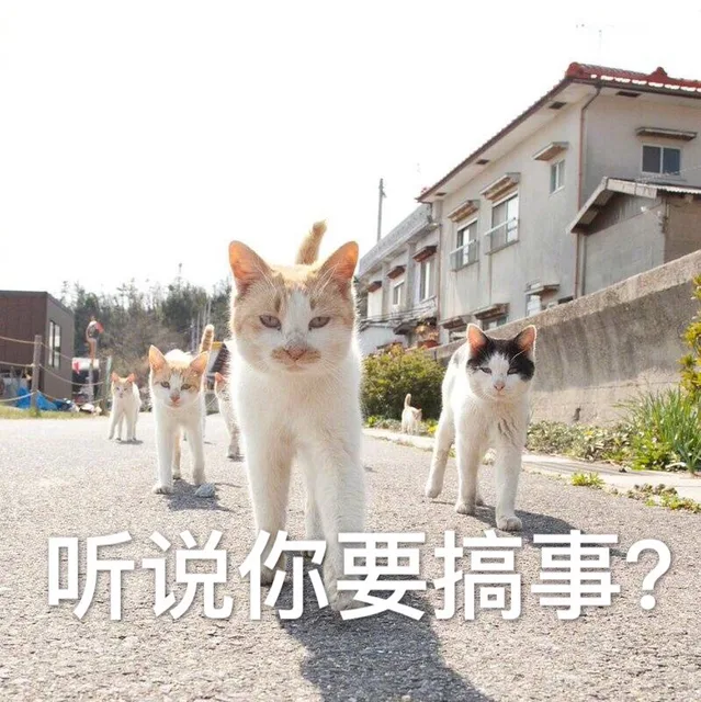 听说你要搞事？ （喵星人）_搞事_喵星人_怼人表情