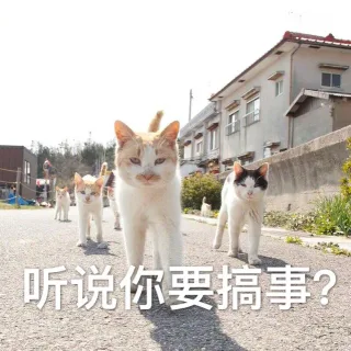听说你要搞事？ （喵星人）_搞事_喵星人_怼人表情表情包