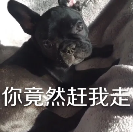 你竟然赶我走（你竟然赶我走）