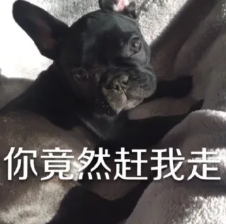 你竟然赶我走