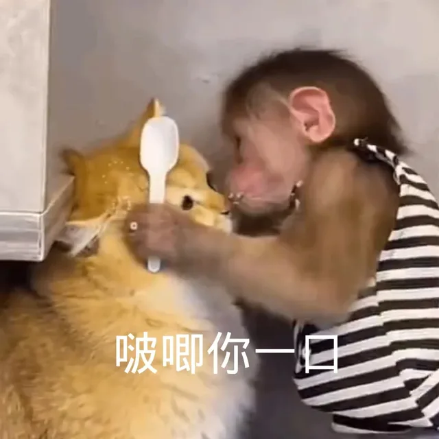 啵唧你一口（啵唧你一口）