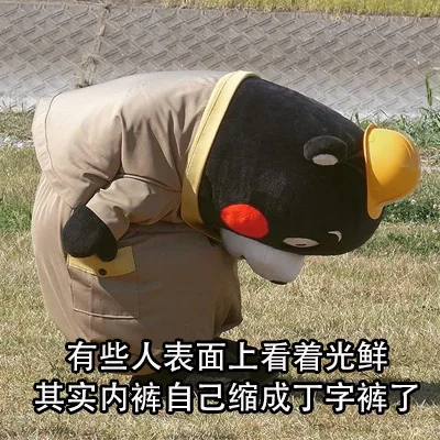 有些人表面上看着光鲜，其实内裤自己缩成丁字裤了（有些人表面上看着光鲜，其实内裤自己缩成丁字裤了）