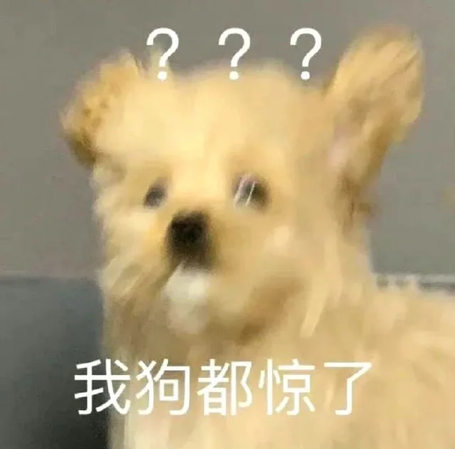???我狗都惊了（???我狗都惊了）