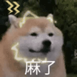 麻了（麻了）