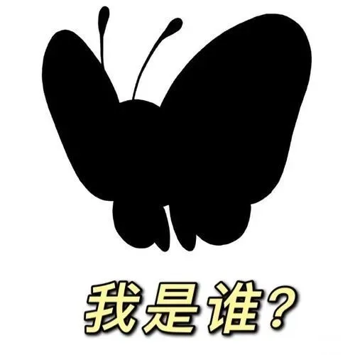 猜猜我是谁表情包 猜猜我是谁？恁蝶