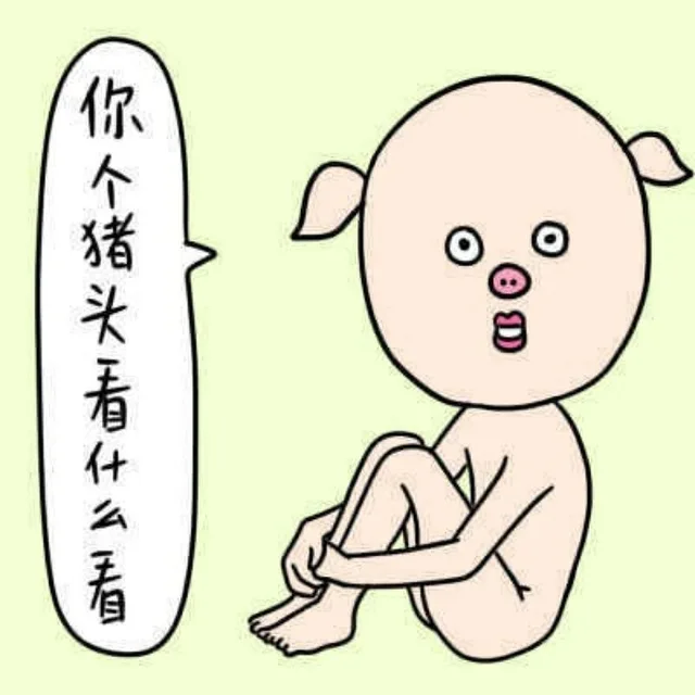 你个猪头看什么看