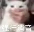 强行消音（强行消音）
