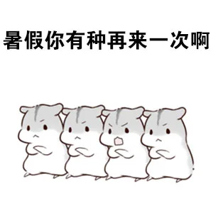 有小偷偷走了我的暑假 我要报警（仓鼠）_仓鼠_暑假表情包