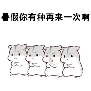 有小偷偷走了我的暑假 我要报警（仓鼠）_仓鼠_暑假表情包