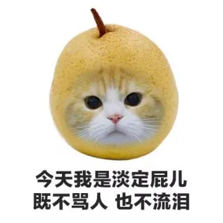 今天我是淡定屁儿既不骂人也不流泪