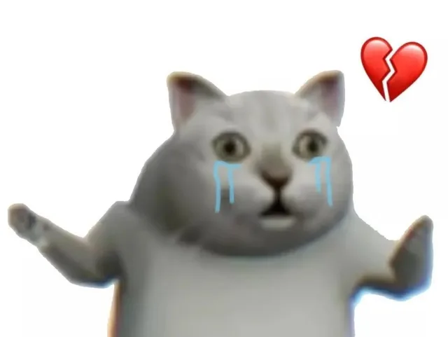 猫猫心碎