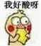 我好酸鸭