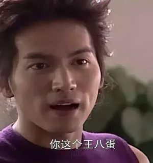 你这个王八蛋