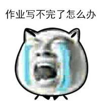 作业写不完怎么办（作业写不完怎么办）