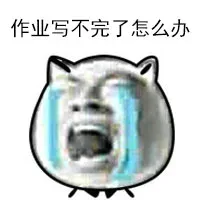 作业写不完怎么办