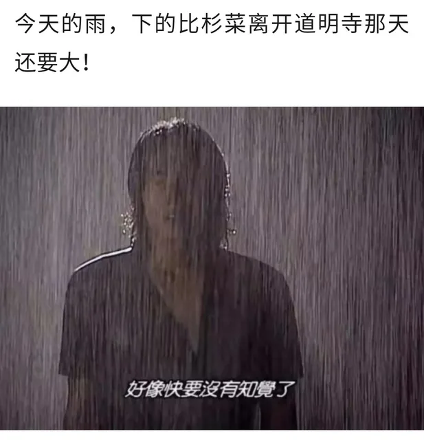 今天的雨,下的比杉菜离开道明寺那天还要大!好像快要沒有知覺了