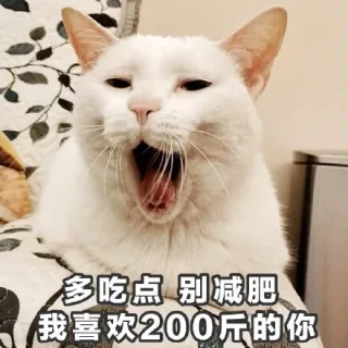 一组萌萌的猫咪表情包 吸猫(=^o^=) _猫咪表情包