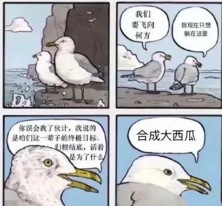 我们要飞向我现在只想何方躺在这里你误会我了伙计,我说的是咱们这一辈子的终极目标合成大西瓜归根结底,活着是为了什么