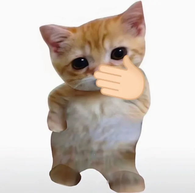 小猫咪自拍表情包