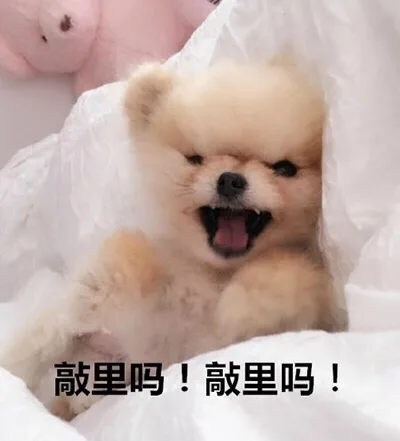 敲里吗！敲里吗！（敲里吗！敲里吗！）
