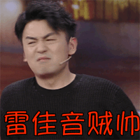 雷佳音贼帅