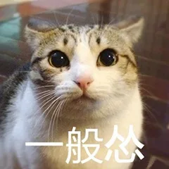 萌宠猫咪表情包_喵咪_喵星人_怂_萌萌哒表情包