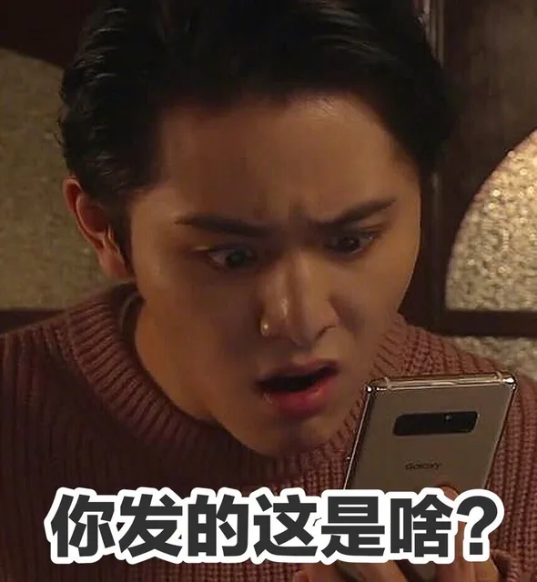 你发的这是啥?