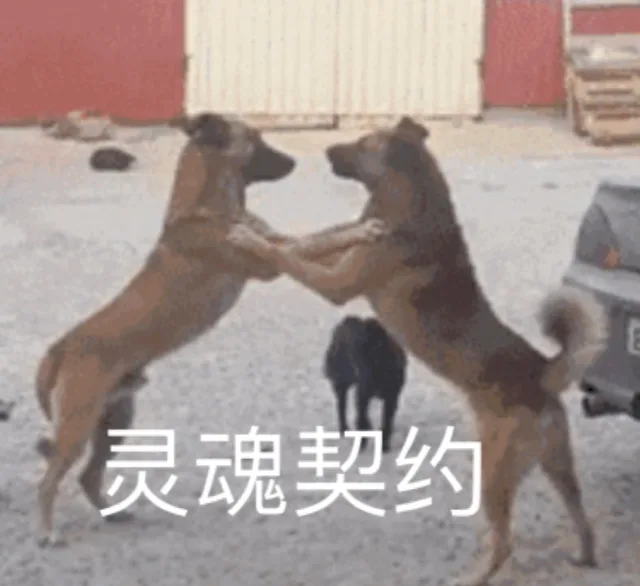灵魂契约