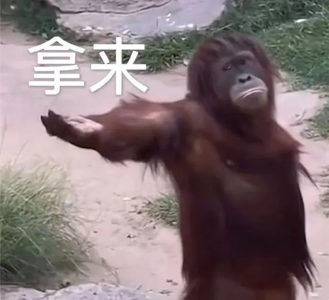 拿来（拿来）