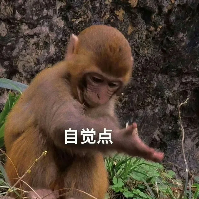 自觉点（自觉点）
