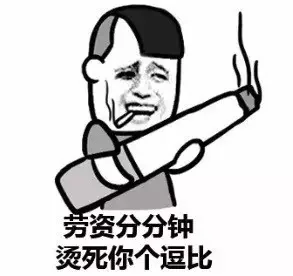 劳资分分钟，烫死你个逗比！（劳资分分钟，烫死你个逗比！）