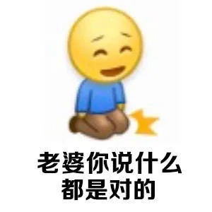 老婆你说什么都是对的