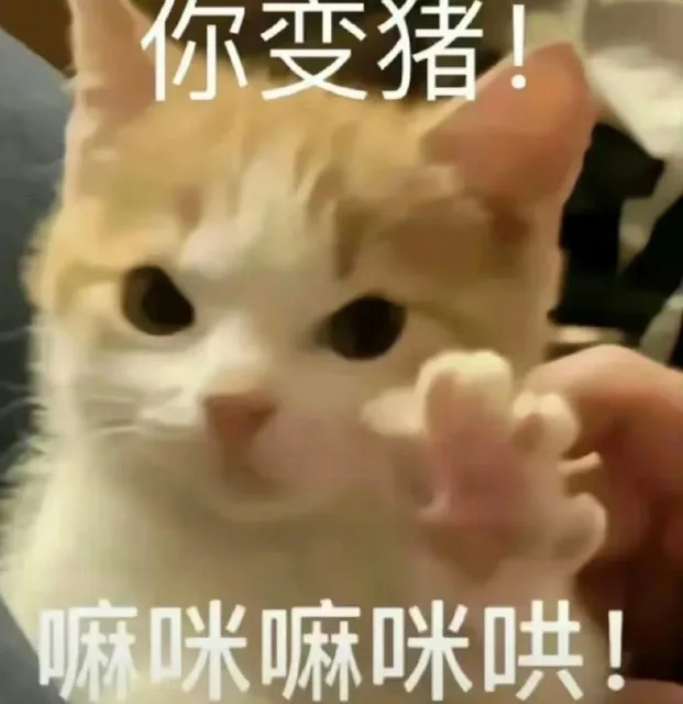 你变猪！嘛咪嘛咪哄！（你变猪！嘛咪嘛咪哄！）