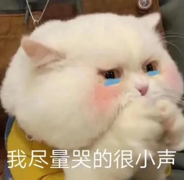 我尽量哭的很小声