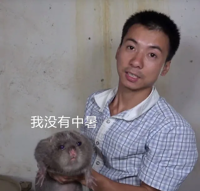 我没有中暑（我没有中暑）