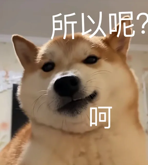 所以呢？呵（所以呢？呵）