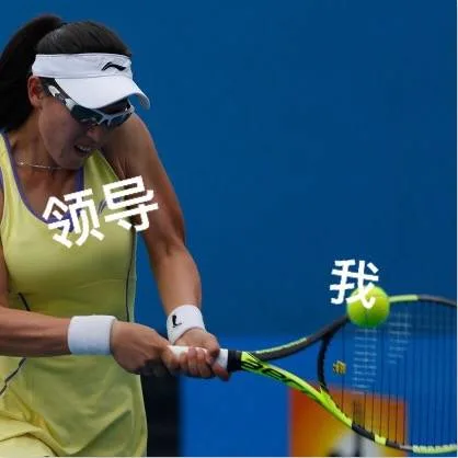 领导 VS 我