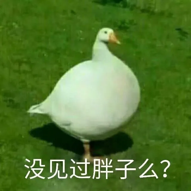 没见过胖子么
