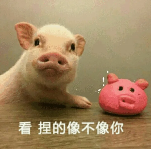 看，捏的像不像你（猪头）