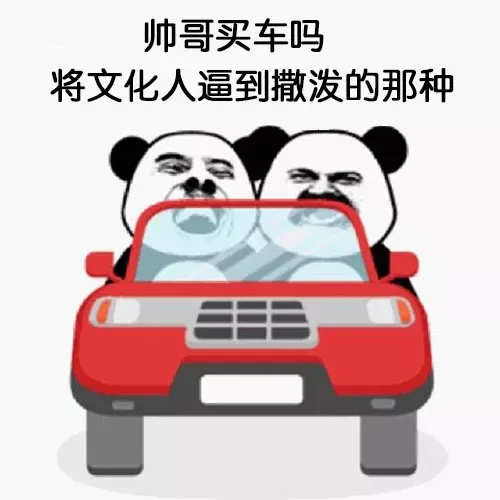 帅哥买车吗将文化人逼到撒泼的那种