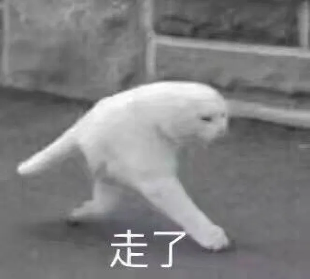 走了（走了）
