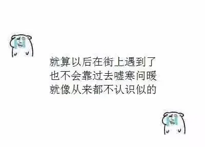 就算以后在街上遇到了 也不会靠过去嘘寒问暖 就像从来都不认识似的