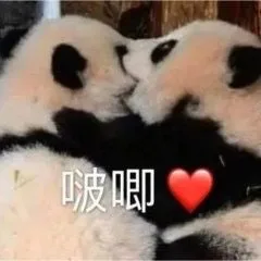 啵唧(熊猫表情包)（啵唧(熊猫表情包)）