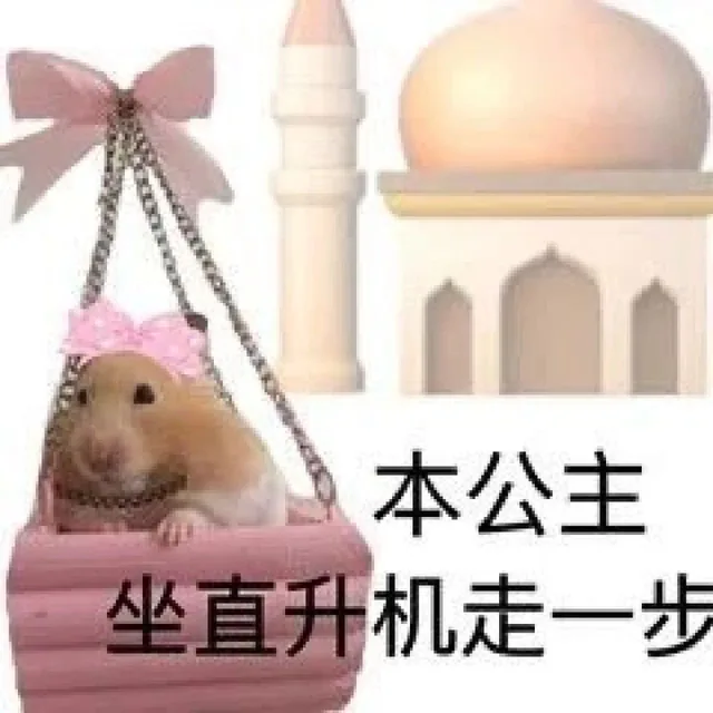 本公主坐直升机走一步（本公主坐直升机走一步）