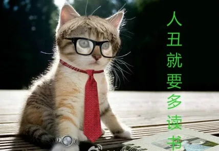 人丑就要多读书