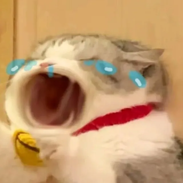 （猫咪猫猫）