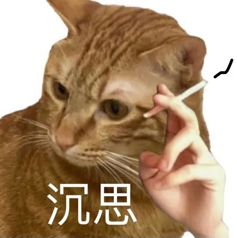 沉思（沉思）