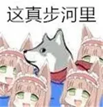 这真步河里（这真步河里）